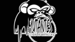 CONOCIENDO COMPETENCIAS MEXICANAS: LIGA MUTANTES